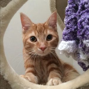 Meet your Posher, Laura